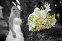 /album/i-nostri-servizi/bouquet-hawaiian-weddings-oahu-jpg/