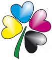 Quadricolor Point